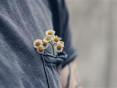 形容告别的词语句子