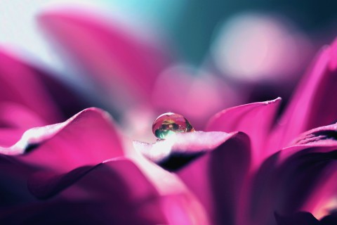 表达很累的个性签名