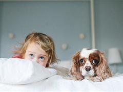 形容相遇的句子