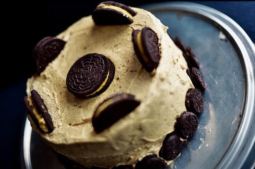 形容迷失方向的句子