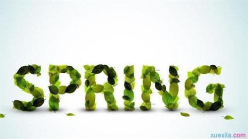 赞美春天的句子