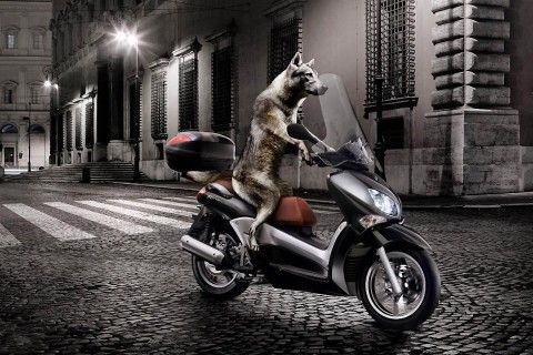 爆笑盘点宋小宝语录