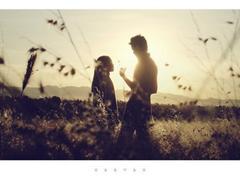 优美段落摘抄句子 优美段落摘抄大全