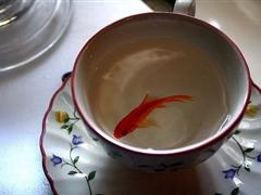 说说心情短 个人说说心情