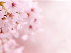 描写平凡的句子 描写平凡的句子段落