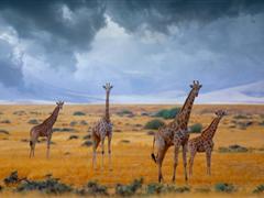 恋爱一周年纪念日说说 相爱一周年纪念日情书