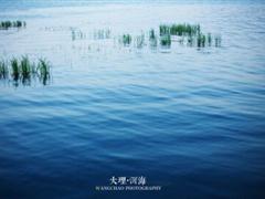 qq说说开心心情短语 qq开心说说大全