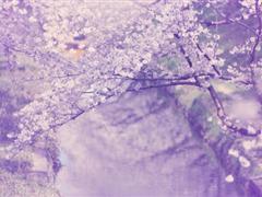 自强不息的心情说说 自强不息的名言