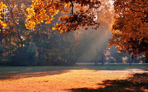 有些事必须面对的说说