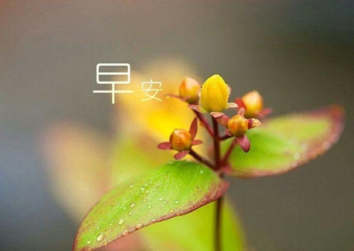 早晨发朋友圈的话语鼓励，读完元气满满！