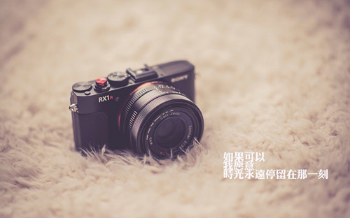 生活的美好的文艺句子