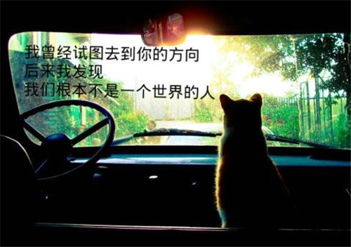 此时此刻很无助的说说 一个人很无助的说说