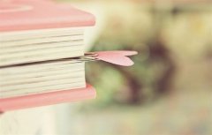 对于生活不矫情的句子 不矫情努力的句子