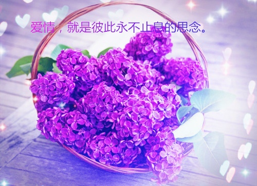 妈妈最伟大的抒情说说 伟大的母亲说说