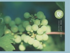 2019夏至发朋友圈的说说 今日夏至的说说