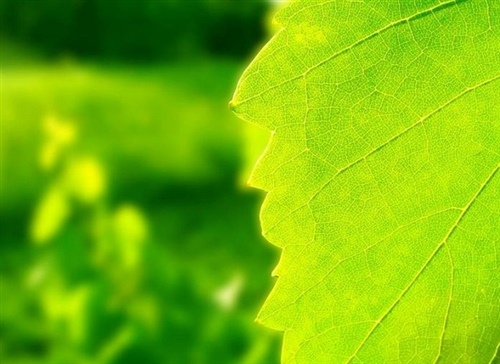 适合夏天发朋友圈的话 夏天说说心情带图片