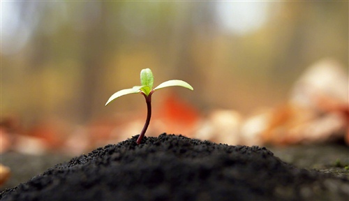 感慨生活简单美好的句子