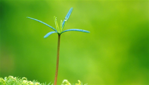 感慨生活简单美好的句子