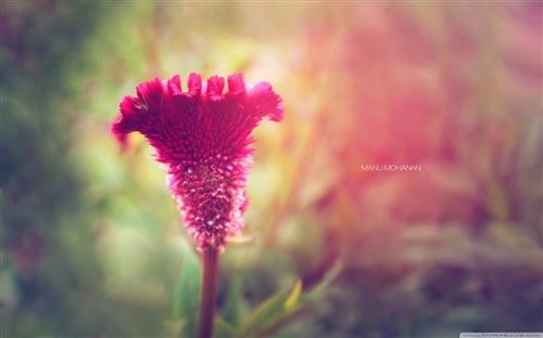 感慨善良的句子 善良的人的感悟话