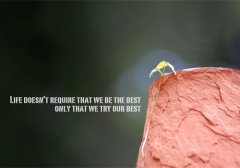 手帐扉页励志寄语 写在手帐扉页的话