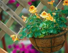 适合爱笑女孩发的朋友圈