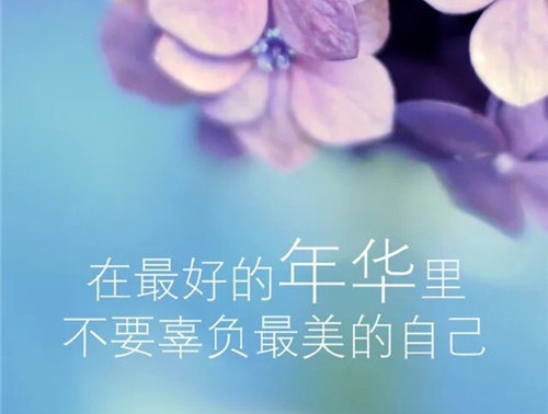 你就该更加努力的说说 你有什么资格不努力说说  