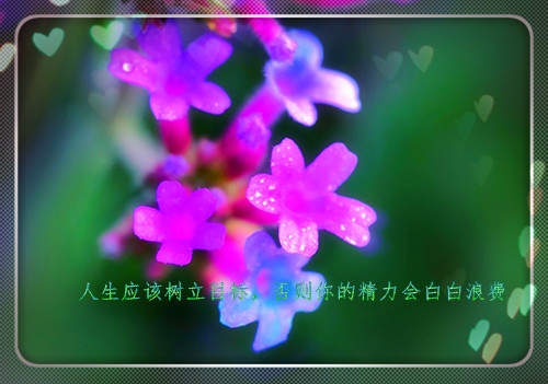 献给自己最充实的一天的好句子