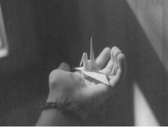 有些东西该放手就放手的句子