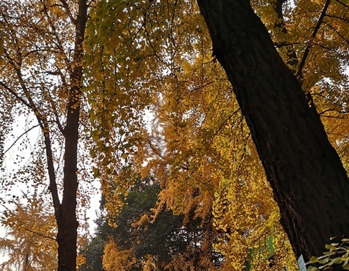 冬天晒太阳的说说朋友圈 晒太阳适合发朋友圈的句子