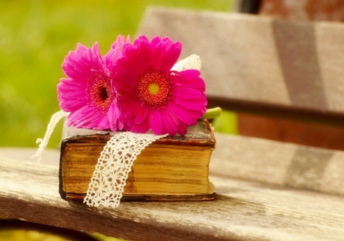 适合写在书签上的句子小学生