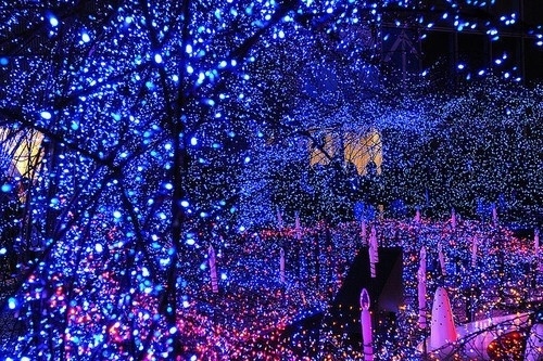 关于元旦联欢会2020的祝福语