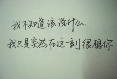 适合发朋友圈表达爱意的话语