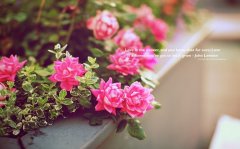 2020正月初五拜年祝福语 大年初五问候祝福语