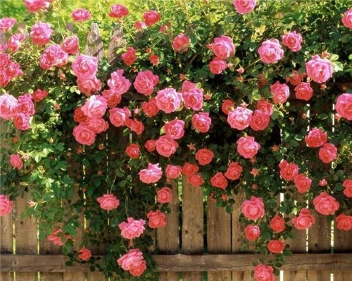 送给闺蜜的最暖心的一段话 闺蜜暖心话简短句子