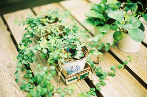 活到了小时候羡慕的年纪句子