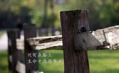 适合写在课本上的励志短句