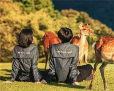 打动人心陪伴一生的情话