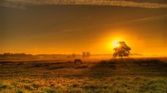 描写清晨阳光的唯美段落