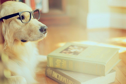 图书馆爱护书籍的宣传标语