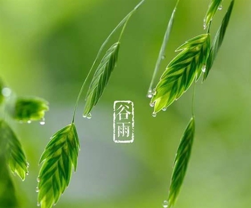 2020谷雨节气祝福语朋友圈