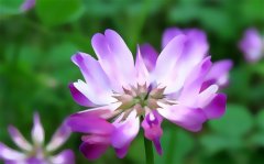 女人一定要自力更生的说说