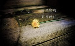 小学生面对困难的励志的句子