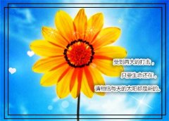 2020大暑祝福句子大全