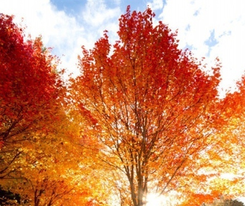 午安问候幽默语发给客户