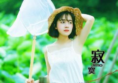 抒发内心烦躁的经典句子