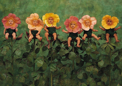 父母对孩子的简短寄语