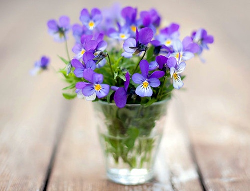 适合二十几岁男生的微信名