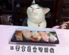 让人喷饭的经典搞笑段子