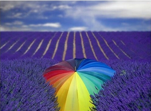 女生四个字的网名优雅有气质的