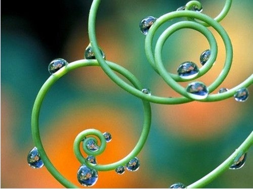 带马字的网名有气质男